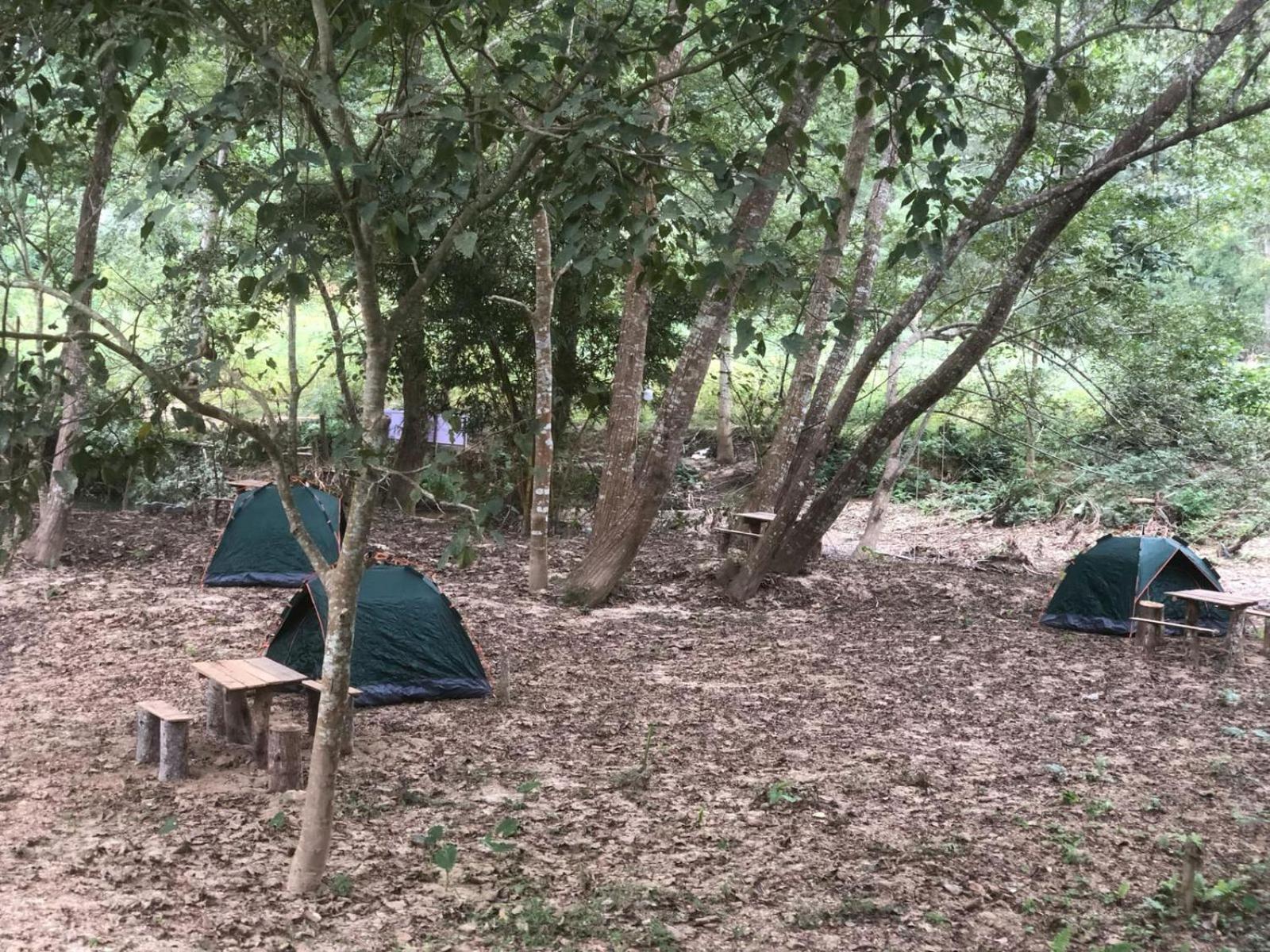 Mingkhuan Eco Homestay Nongkhiaw Eksteriør billede