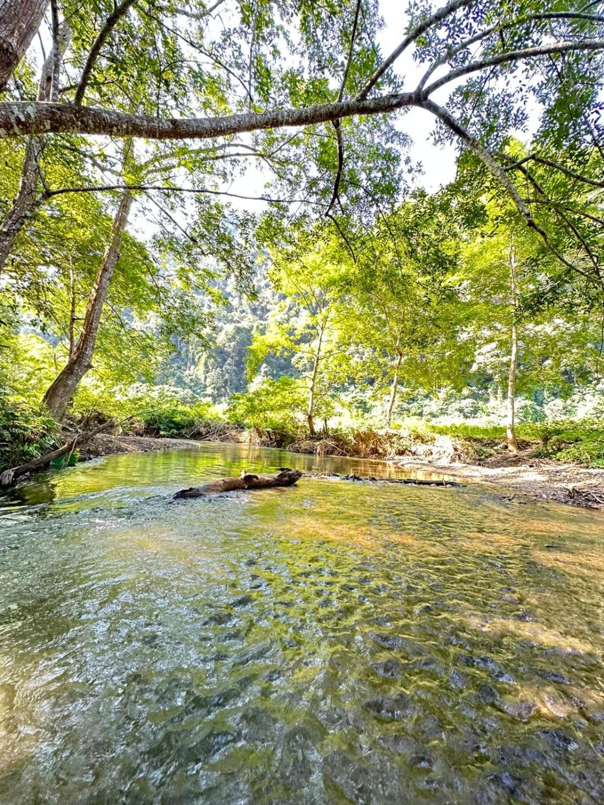 Mingkhuan Eco Homestay Nongkhiaw Eksteriør billede