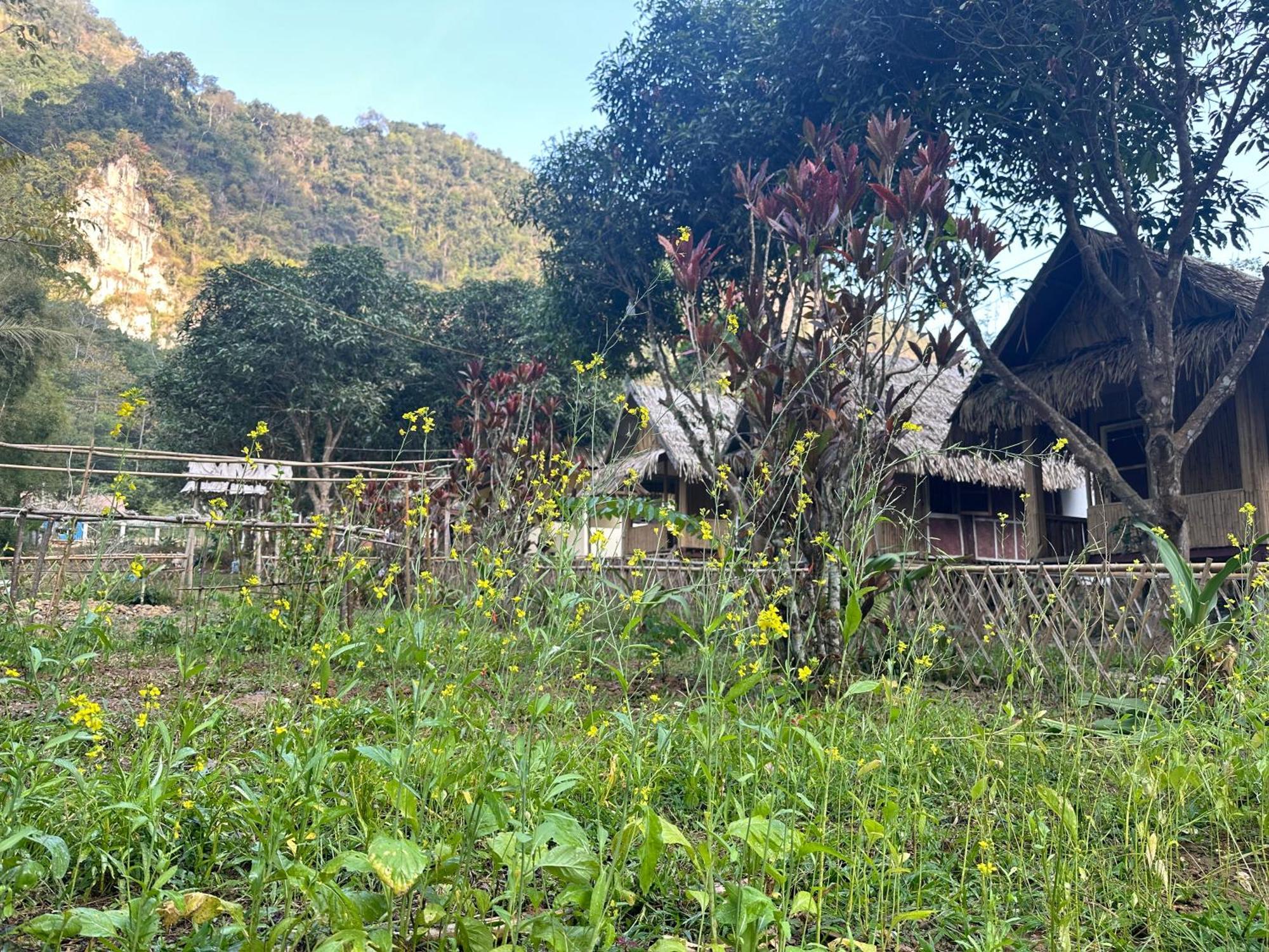 Mingkhuan Eco Homestay Nongkhiaw Eksteriør billede