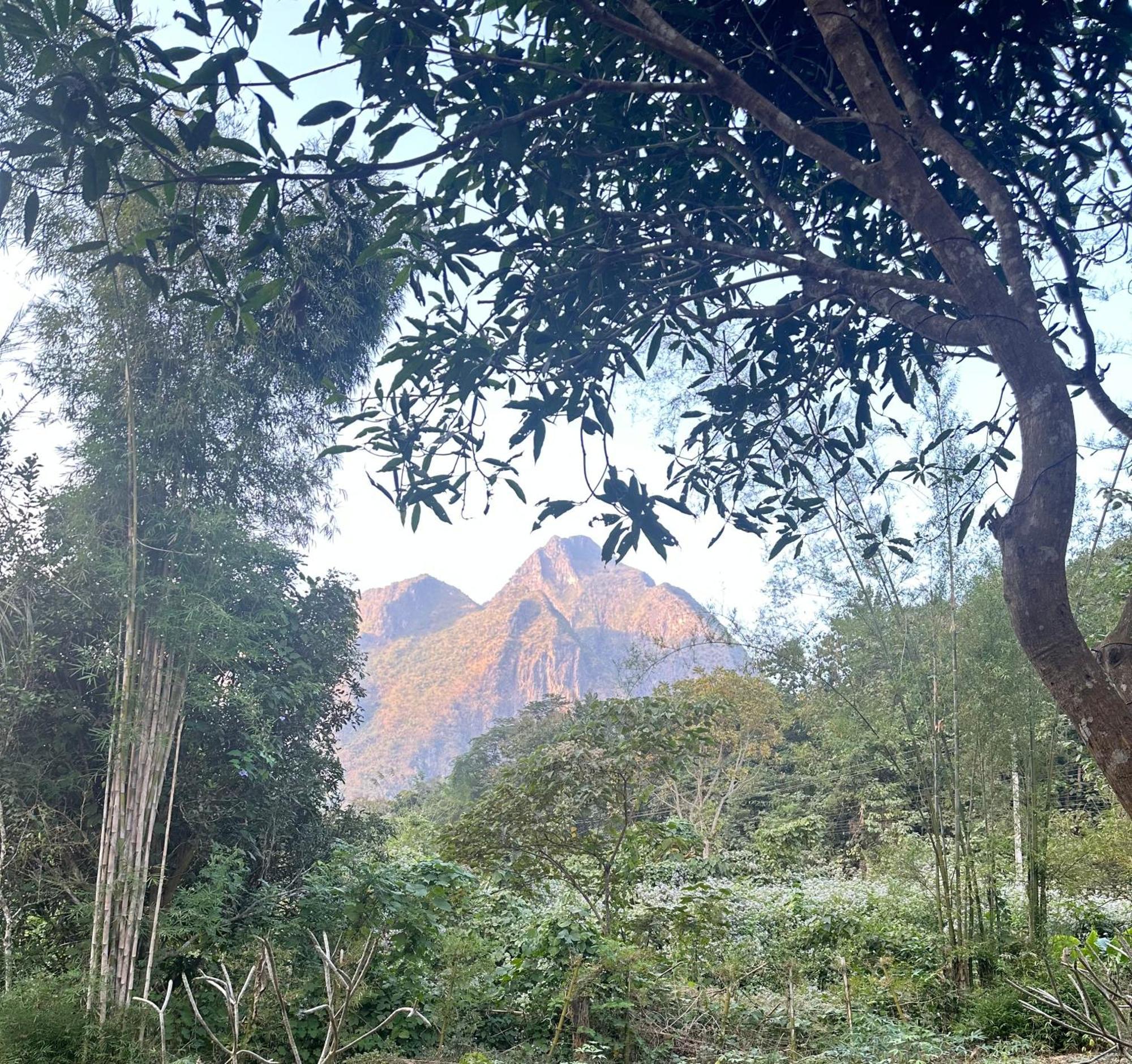 Mingkhuan Eco Homestay Nongkhiaw Eksteriør billede